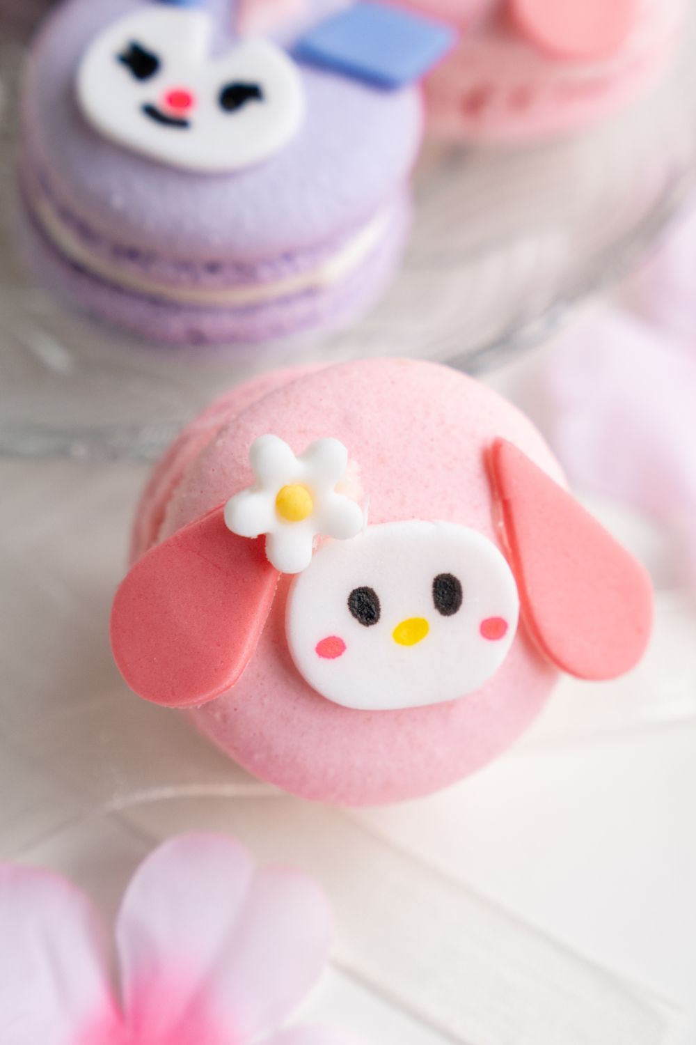 Sanrio Macarons Baking Class for Kids π