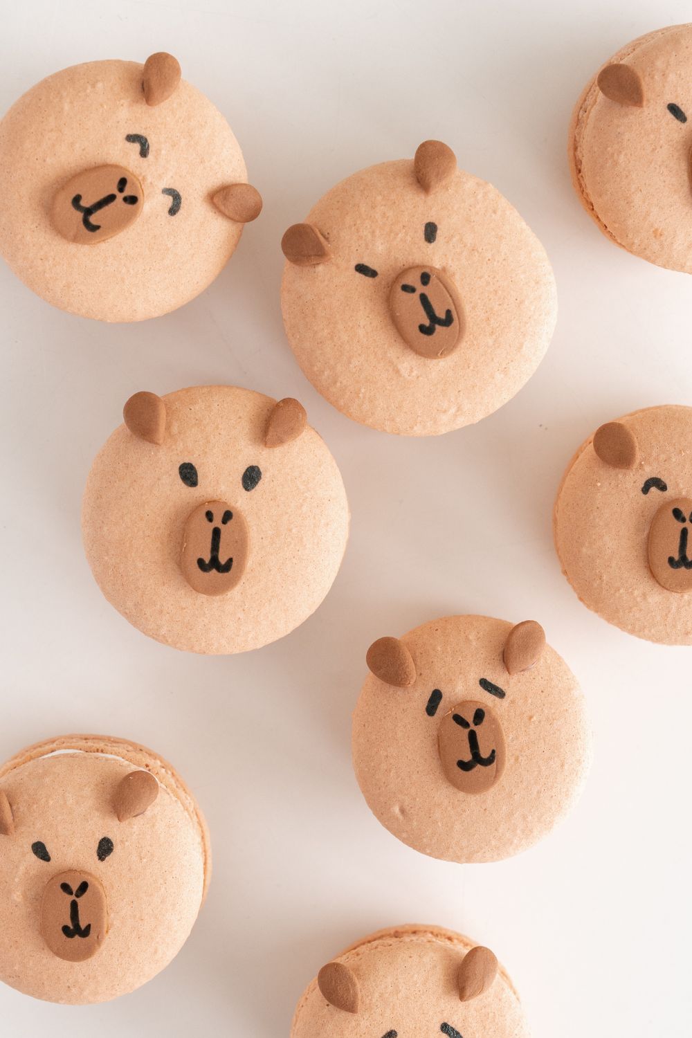 Capybara Macarons Baking Class for Kids π«π§