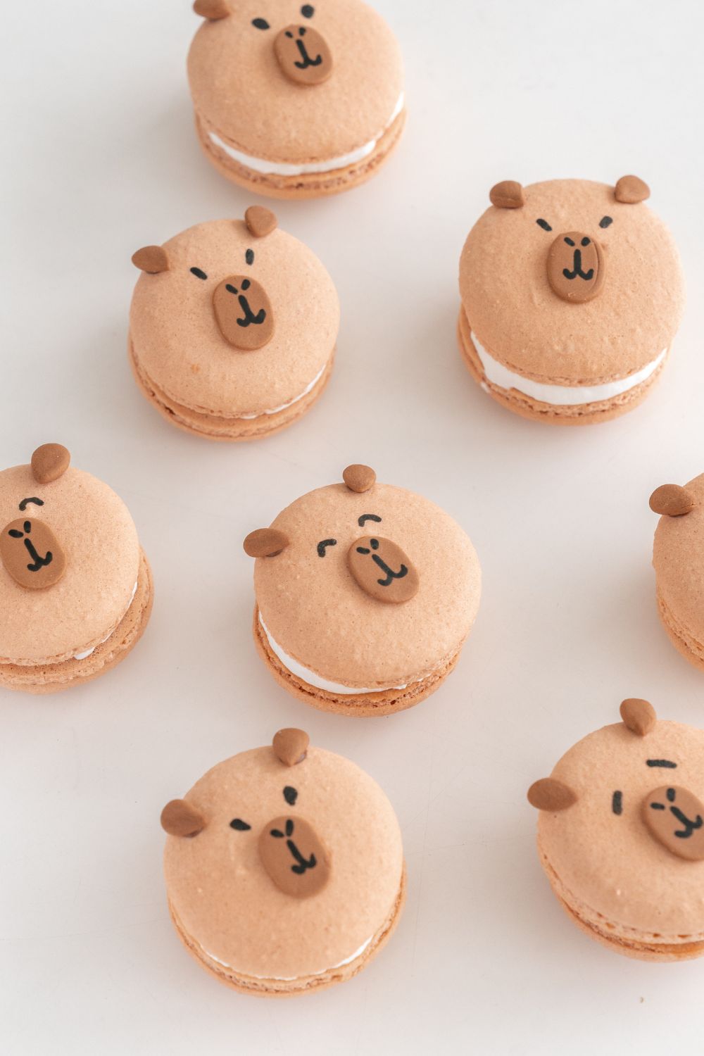 Capybara Macarons Baking Class for Kids π«π§