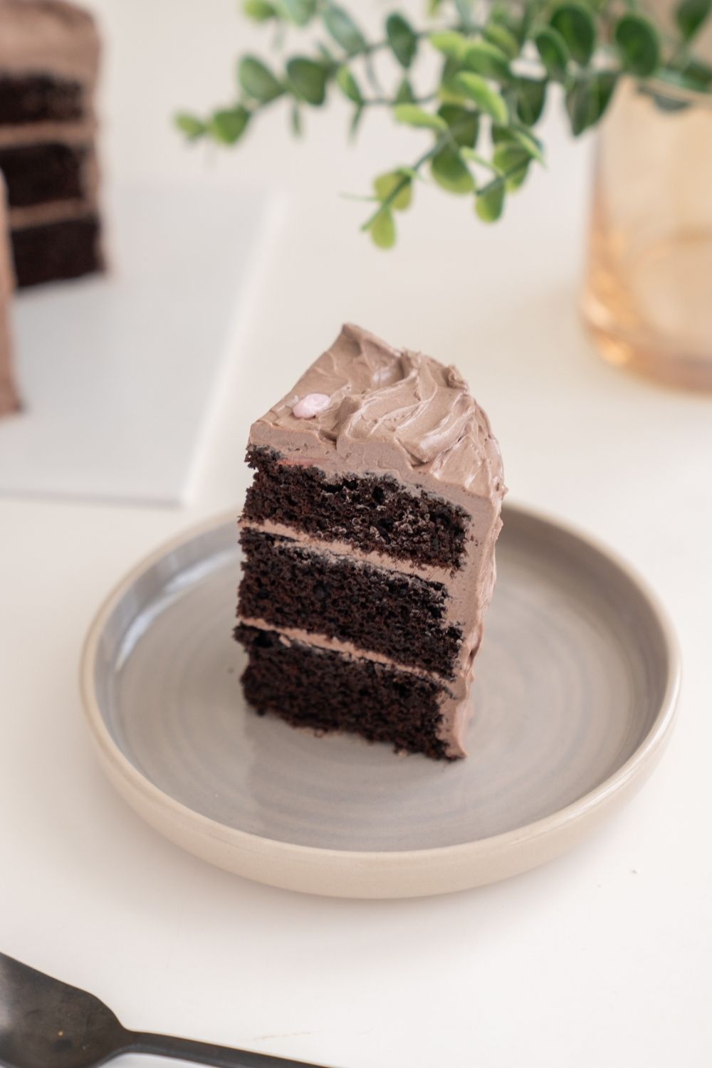 VEGAN Chocolate Bear Cake Baking Class for Kids π»π°