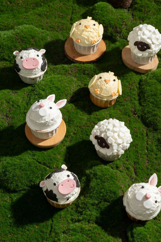 Animal Cupcakes Baking Class for Kids