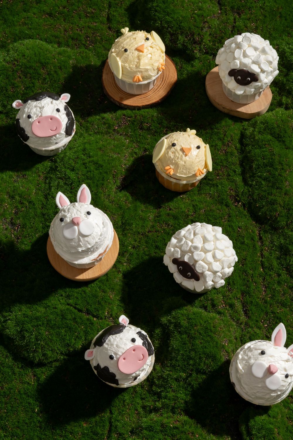 Animal Cupcakes Baking Class for Kids