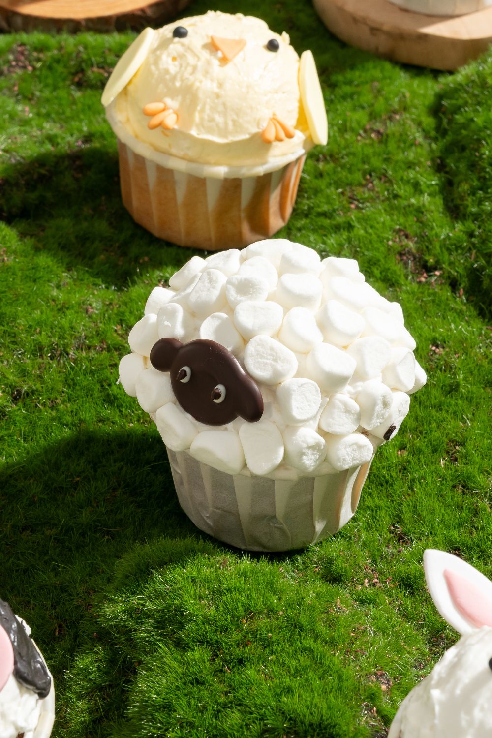 Animal Cupcakes Baking Class for Kids
