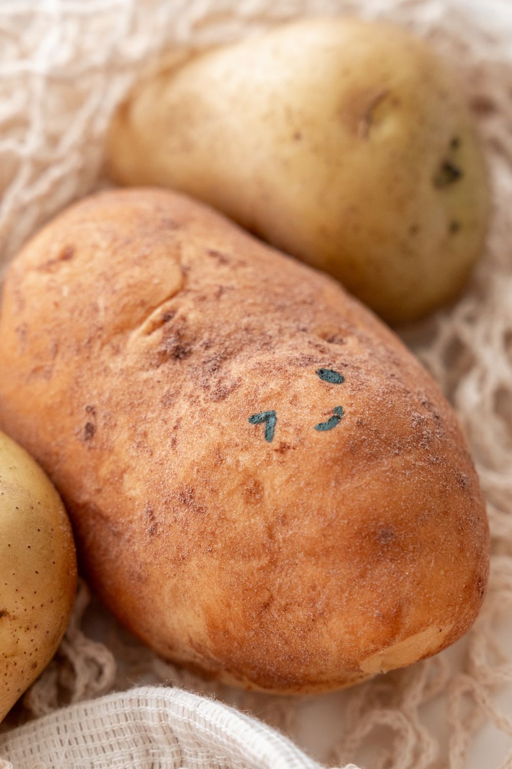 Potato Buns Baking Class for Kids 🍞🥔