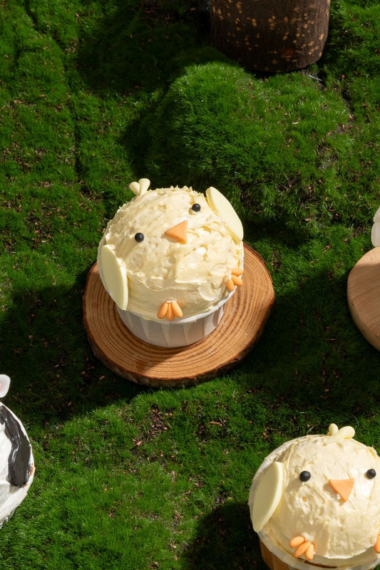 Animal Cupcakes Baking Class for Kids