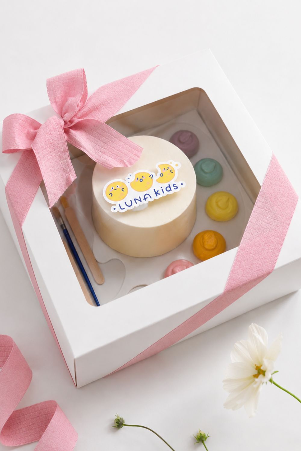 Paint Palette DIY Cake Decorating Kit
