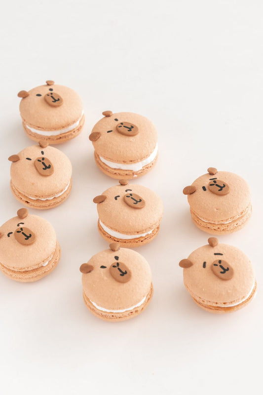 Capybara Macarons Baking Class for Kids 🍫🧁